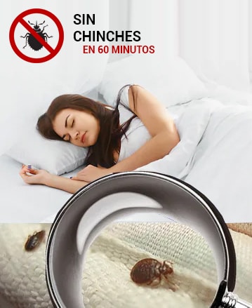 Fumigaciones de Chinches