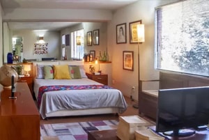 Fumigaciones de Cucarachas