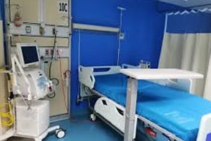 Fumigaciones de Cucarachas